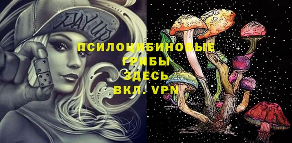 шишки Абинск