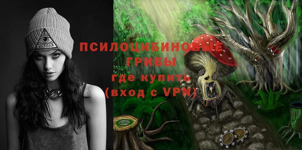 индика Абдулино