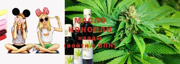 индика Абдулино