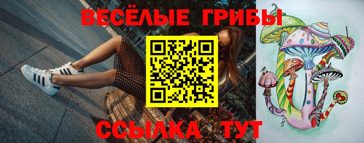 Псилоцибиновые грибы Cubensis  Псилоцибиновые грибы прущие грибы  Вход с VPN  наркошоп  Алексин 