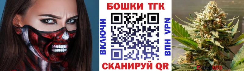 закладка  darknet наркотические препараты  Бошки Шишки OG Kush  Алексин 